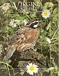 Virginia Wildlife -  September 1999
