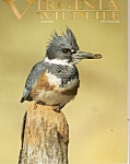 Virginia Wildlife -  June 2004