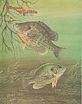 Virginia Wildlife -  May 1981