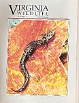 Virginia Wildlife -  October 1993
