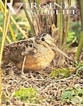 Virginia Wildlife magazine - October 2004