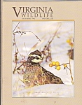 Virginia Wildlife -  September 1991