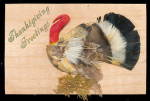 Real Feather Thanksgiving Turkey 1910 Postcard