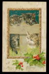 Winsch Cats/Kittens Peering in Window 1907 Postcard