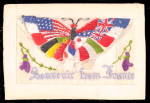 1908 Embroidered Silk Souvenir of France Postcard