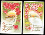 2 New Years Wishbones with Flowers 1907 Postcards