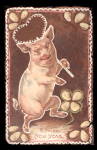 Great Pig Dancing New Years 1906 Postcard