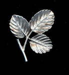 1960s Sarah Coventry 'Petite' Silvertone Leaf Pin