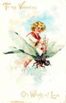 1906 "On Wings of Love"Tucks Postcard