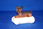 Click here to enlarge image and see more about item DBONESSP2: DOG ON A BIG BONE SALT & PEPPER