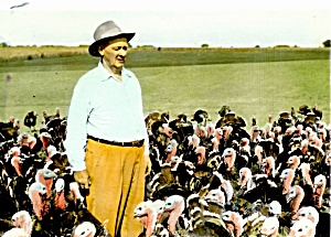 1950s Vintage Photo: Iowa Turkey Farmer, His Flock (Image1)