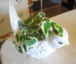 Click to view larger image of Large Vintage Bird Planter (Image5)