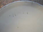 Click to view larger image of Hall China Slop Jar and Shaving Mug (Image4)