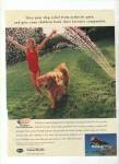 Click here to enlarge image and see more about item MH4587: 1999 Rimadyl Carprofen animals Print AD Arthritis Dogs