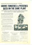Click here to enlarge image and see more about item R9926: Palm Co., Tomatoes & potatoes plant ad 1970