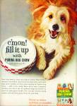 Click here to enlarge image and see more about item Z1048: Purina Dog chow ad 1965