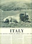 Click here to enlarge image and see more about item Z10947: 1947 =ITALY, Anciet citadel of culture
