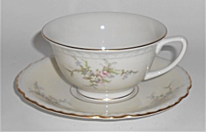 Arcadian Porcelain China Old Rose Cup & Saucer Set