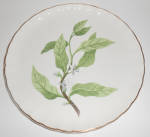 Click to view larger image of W. S. George Pottery China B8760 Floral Luncheon Plate! (Image1)