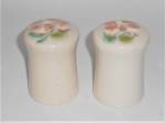 Click to view larger image of Franciscan Pottery Floral Salt & Pepper Shaker Set (Image1)