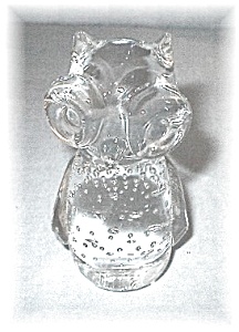 Glass Owl (Image1)
