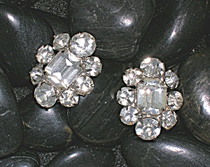 Silver Rhodium Crystal Flower Earrings