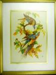 Click to view larger image of Henry B. Sandler Co. Bird Print, Conservation Reserve P (Image6)