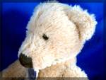 Click to view larger image of Russ Berrie Teddy Bear - Crabtree and Evelyn - 9 inches (Image3)
