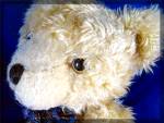 Click to view larger image of TY Fully jointed teddy bear, 17 inches tall (Image3)