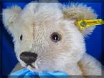 Click to view larger image of Steiff  teddy bear with passport Number 0445 (Image2)