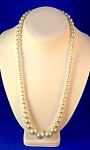 Pearls Large White Graduated Strand Faux 