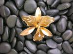 Click to view larger image of  Flower Brooch Goldtone Vintage 60s (Image5)