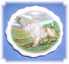 Click to view larger image of ROSLYN FINE BONE CHINA PLATE MADE IN ENGLAND. (Image3)