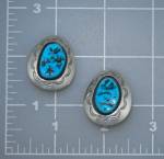 Sleeping Beauty Turquoise Sterling Silver Clip Earrings