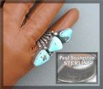 PAUL LIVINGSTONE Carico Lake Turquoise Sterling Silver 