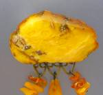 Click to view larger image of Baltic AMBER Golden Butterscotch  Brooch With Dangles (Image5)