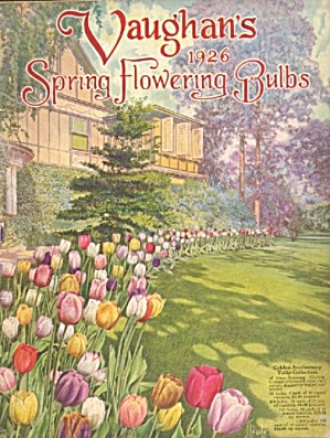 Vintage Vaughan's Gardening Illustrated