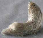 Click to view larger image of Vintage Handmade Adult Seal Fur Figure (Image2)