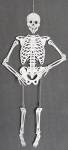 Click here to enlarge image and see more about item HALVSKEL1: Halloween Large White Metal Skeleton