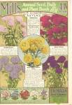 Mills Annual Seed, Bulb & Plant Book