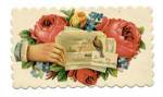 Click here to enlarge image and see more about item PCC20: Vintage Calling Card Lovely Bird