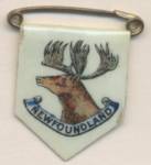 Vintage Celluloid 1st Newfoundland Regiment Pin