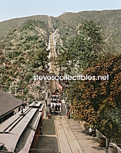 c.1905 California Mt. Lowe RAILWAY INCLINE Photo-8x10 (Image1)