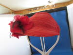 Click to view larger image of Red Straw Hat with Feathers (Image3)