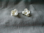 Sea Shell Flower Earrings