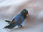 Click to view larger image of Real Feathers Bird Brooch (Image1)