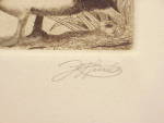 Click to view larger image of DAVID HUNTER GREATER SCAMP DUCK ETCHING PICTURE  (Image3)
