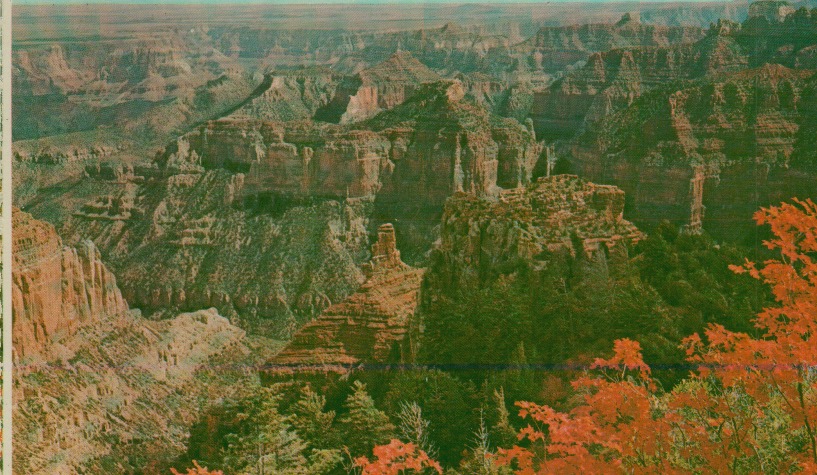 Grand Canyon National Park Arizona Autumn On The North Rim P40885