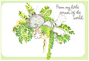 Cat in a Plant Greetings Postcard cs0405 (Image1)