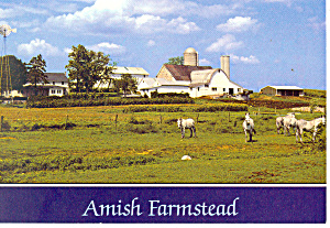 Amish Farmstead Postcard Cs0897